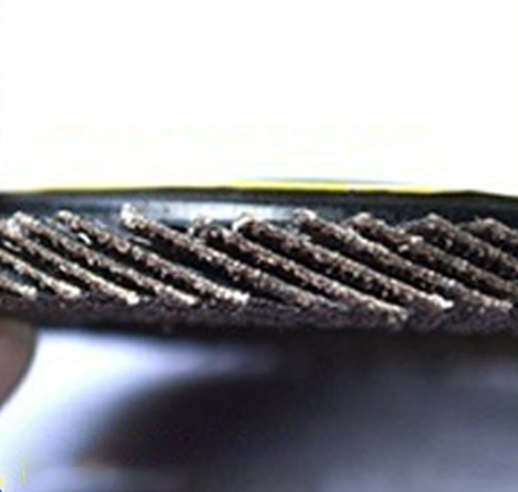 Flap discs03 Flap discs03